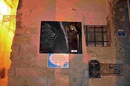 DSC 2440