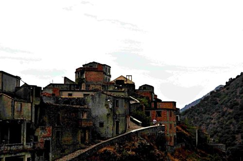 DSC 8319