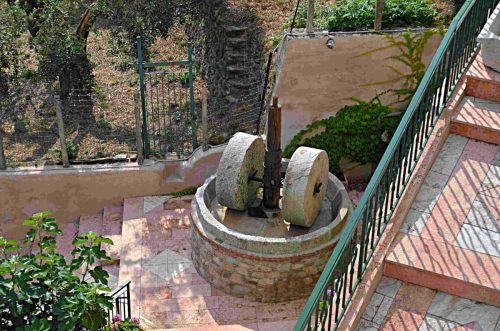 DSC 8366