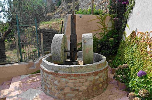DSC 8369
