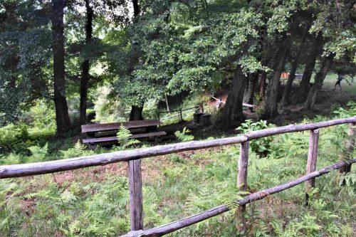 116453949 10207669122802554 1070449662259201034 n